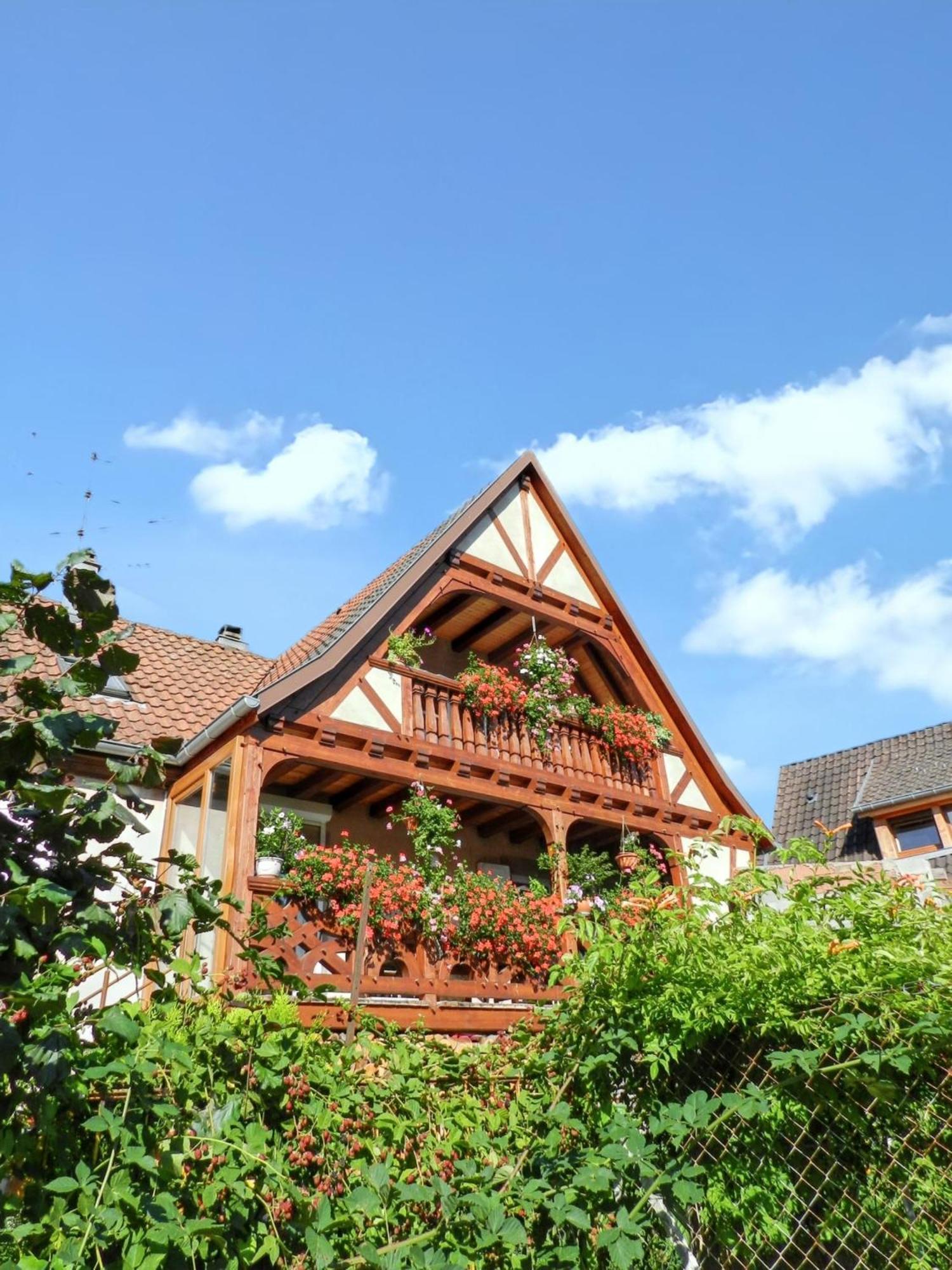 Maison Charmante Avec Vue Sur La Montagne A Triembach-Au-Val Esterno foto